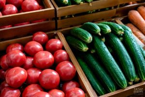 Көяләрне ничек куркытырга? Кыяр өчен ашлама, яки бакчачыга бераз киңәшләр